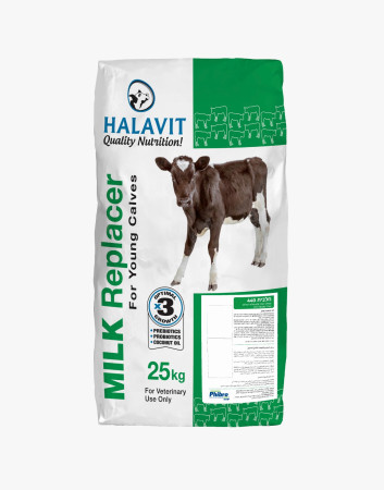 حليب حلافيت عجول